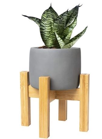 Inspella - Concrete Planter 4 Inch Plant Pot with mid Century Plant Stand