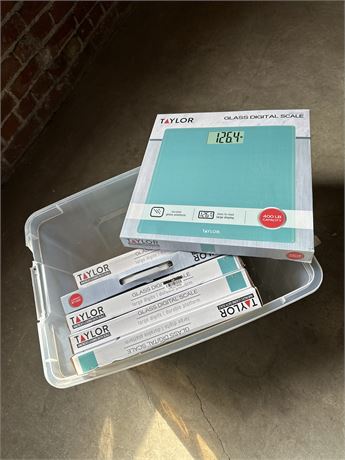 Taylor Glass Digital Scales 6 Pack